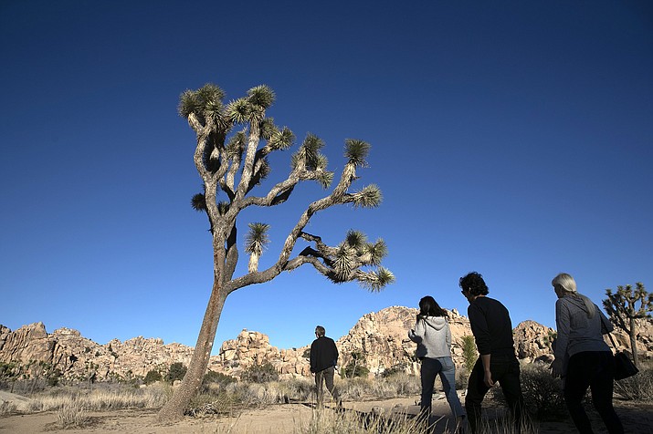 In this Jan. 10, 2019 photo, people visit Joshua Tree National Park in Southern California's Mojave Desert. The popular trail to the Fortynine Palms Oasis in Joshua Tree National Park has been temporarily closed so that bighorn sheep can have undisturbed access to the water. The National Park Service says the park is under extreme drought conditions and herds in the area are increasingly reliant on the oasis spring to survive the hot summer months. (AP Photo/Jae C. Hong,File)