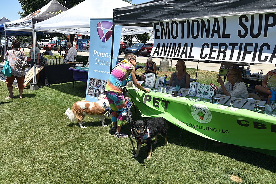 WOOFstock at Prescott Valley Civic Center on Saturday, June 11, 2022. (Jesse Bertel/Courier)
