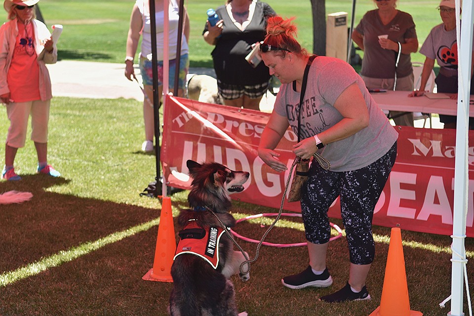 The Best Trick or Talent contest at WOOFstock at Prescott Valley Civic Center on Saturday, June 11, 2022. (Jesse Bertel/Courier)