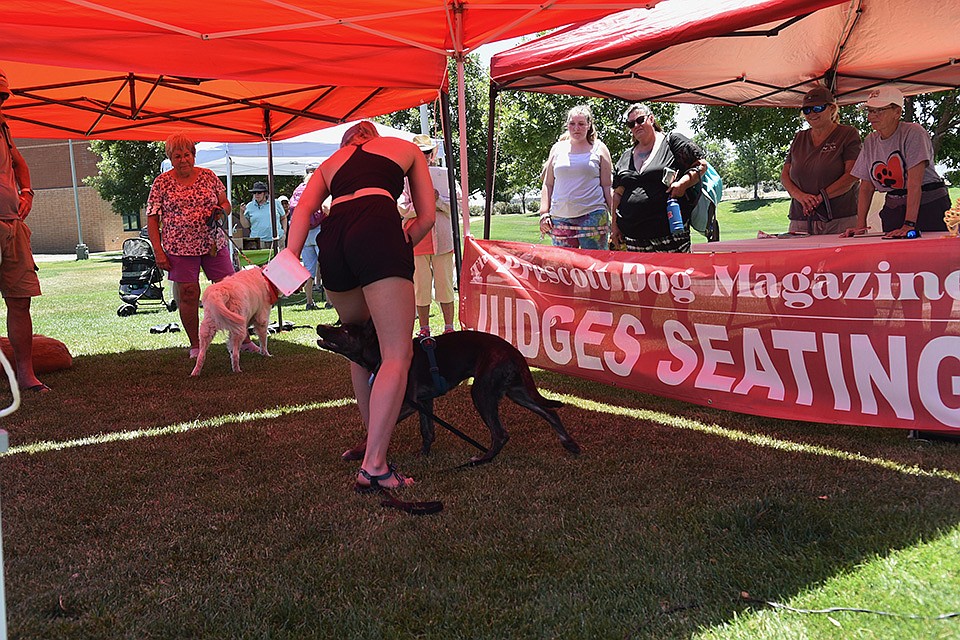 The Best Trick or Talent contest at WOOFstock at Prescott Valley Civic Center on Saturday, June 11, 2022. (Jesse Bertel/Courier)