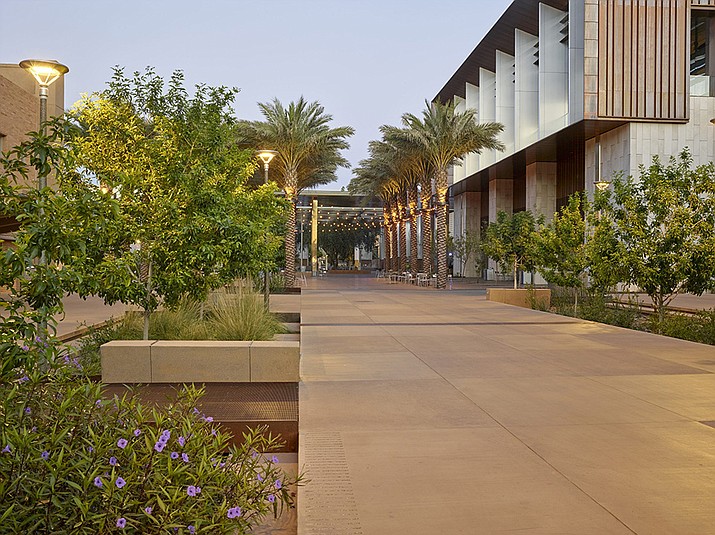 Palm trees, bushes and succulents line Orange Mall in the heart of Arizona State University’s Tempe campus.
