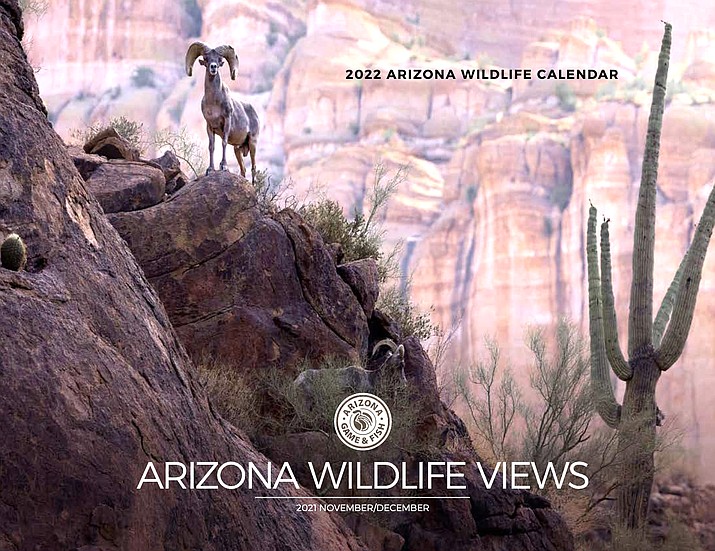 The 2022 cover photo for Arizona Game and Fish's Wildlife Views calendar. (AZGFD)