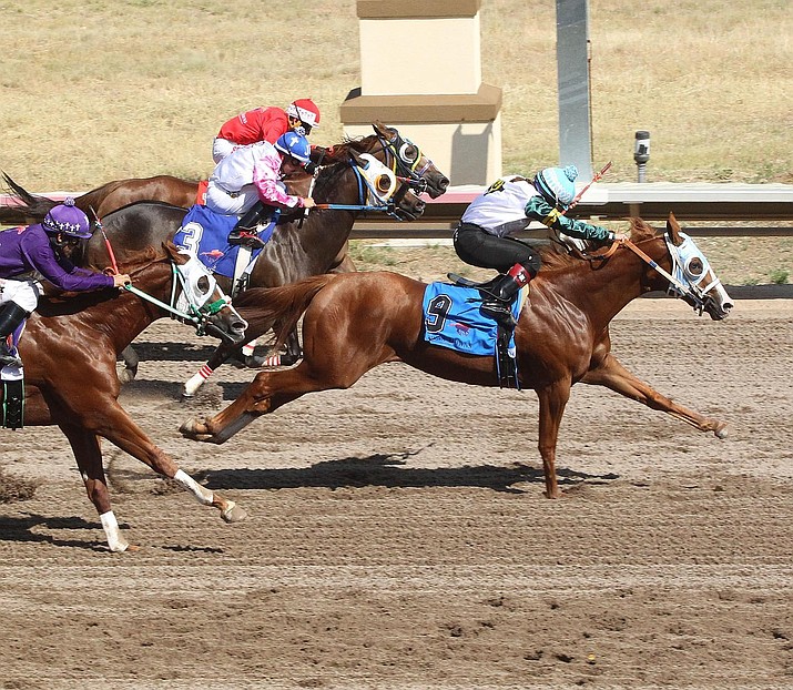 A live horse race from September 2021 at the Arizona Downs track, 10501 E. Highway 89A in Prescott Valley. Live horse racing returns to the track on Saturday, June 25, 2022, when Arizona Downs begins its 2022 season. (Arizona Downs/Courtesy, file)