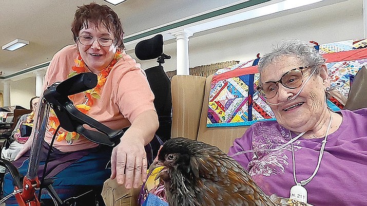 Gracie interacts with residents at Good Samaritan-Willow Winds assisted living facility. (Courier file photo)