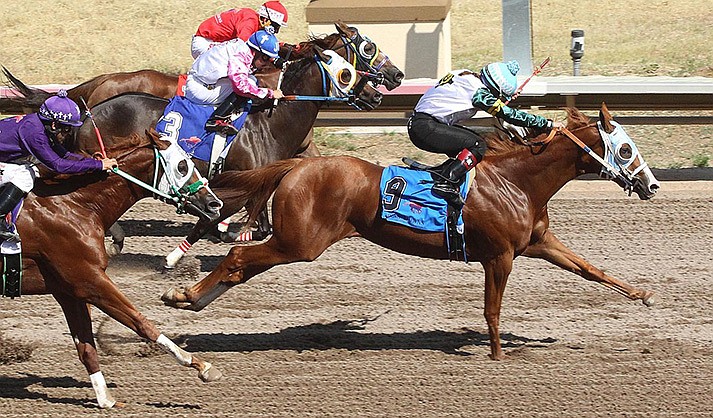 A live horse race from September 2021 at the Arizona Downs track, 10501 E. Highway 89A in Prescott Valley. Live horse racing returned to the track on June 25, 2022, and will continue into early September. (Arizona Downs/Courtesy file)