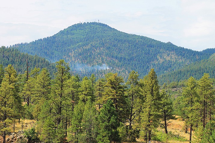 Firefighters are responding to a fire from a lightning strike on Bill Williams Mountain. (Wendy Howell/WGCN)