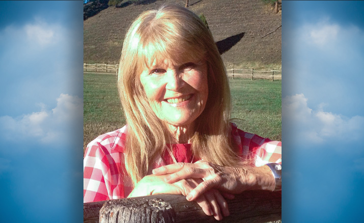 Obituary for Carol Ann Dondorfer-Yontek