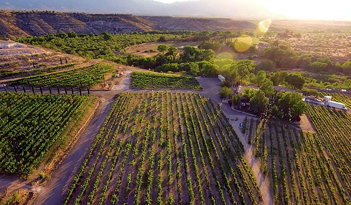Alcantara Vineyards & Winery plans to expand into a resort with overnight lodging and more activities beyond the tasting room and wine events. (Image by Alcantara)