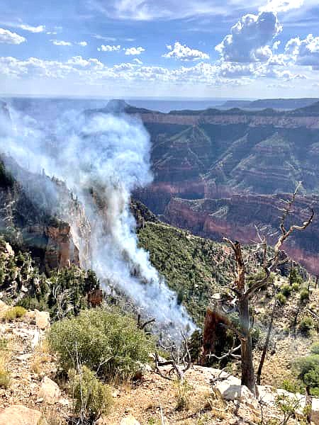 An aerial view of the Dragon Fire on the North Rim July 21. (NPS Photo/M. Brown)