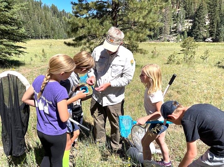 Lonnie Pilkington leads a butterfly count group on the North Rim. (NPS Photo)
