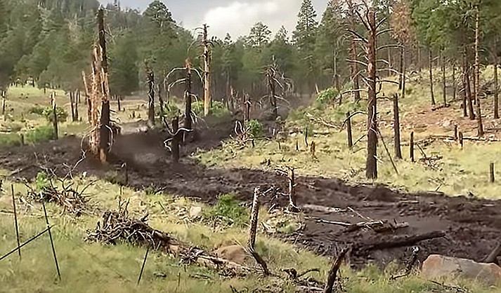 The Tunnel and Pipeline fires followed by monsoon rains led to flooding and slides that are now limiting hunters’ access to parts of Coconino National Forest. (CNF)