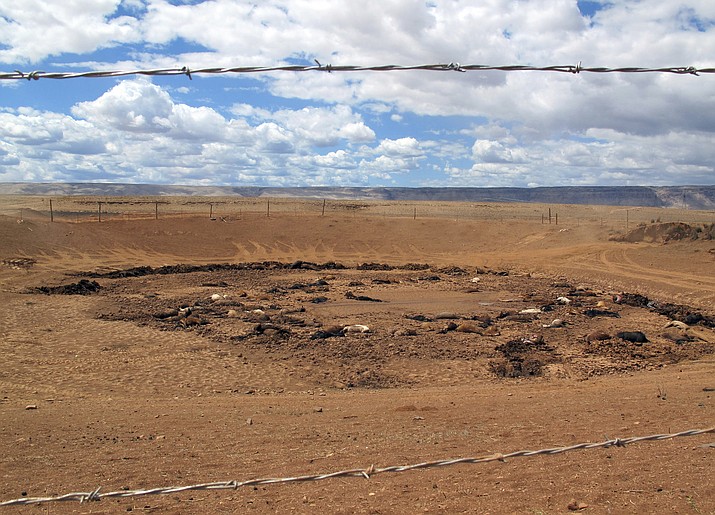 Dozens of horse carcasses lying in a dry watering hole are surrounded by a barbed wire fence near Cameron, Arizona., on May 3, 2018. FEMA has developed a new strategy to better engage with hundreds of Native American tribes as they face climate change-related disasters, the agency announced Aug. 18. (AP Photo/Felicia Fonseca)
