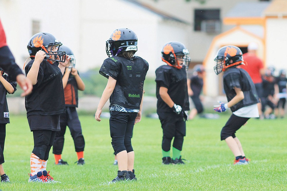 The Williams Bengals and Tigers youth football team run drills Aug. 18. The teams have their first home games Aug. 27 with Camp Verde at 10 a.m. (Wendy Howell/WGCN)