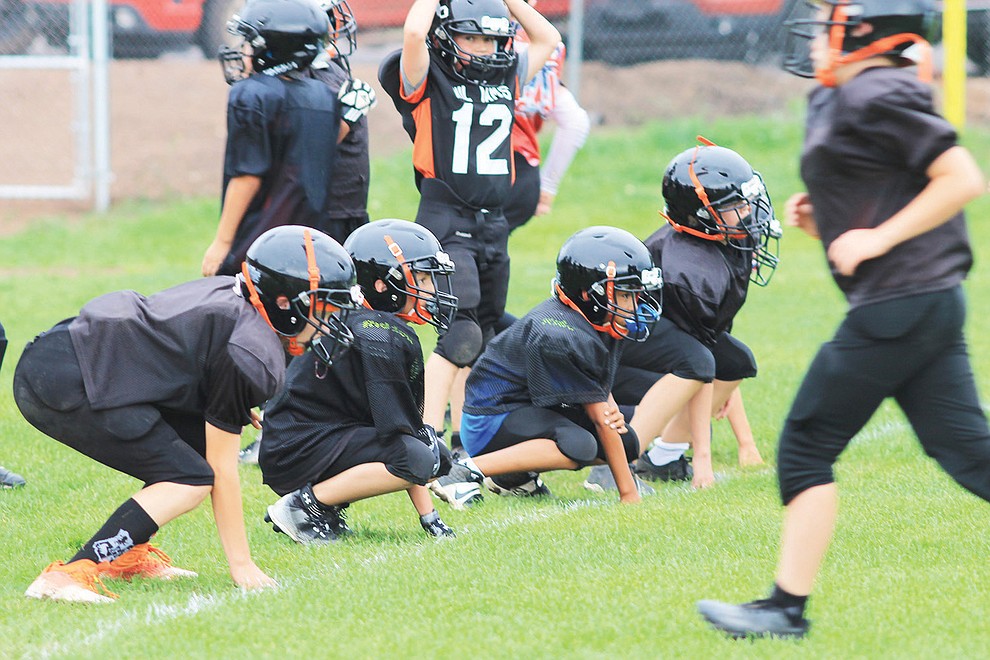 The Williams Bengals and Tigers youth football team run drills Aug. 18. The teams have their first home games Aug. 27 with Camp Verde at 10 a.m. (Wendy Howell/WGCN)