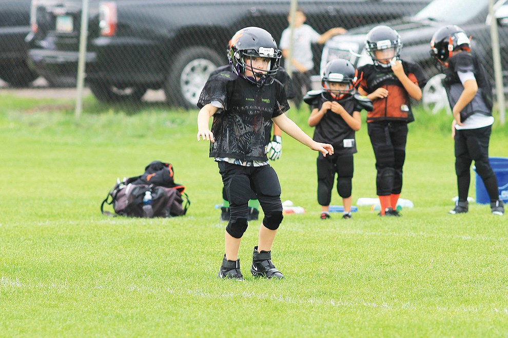 The Williams Bengals and Tigers youth football team run drills Aug. 18. The teams have their first home games Aug. 27 with Camp Verde at 10 a.m. (Wendy Howell/WGCN)