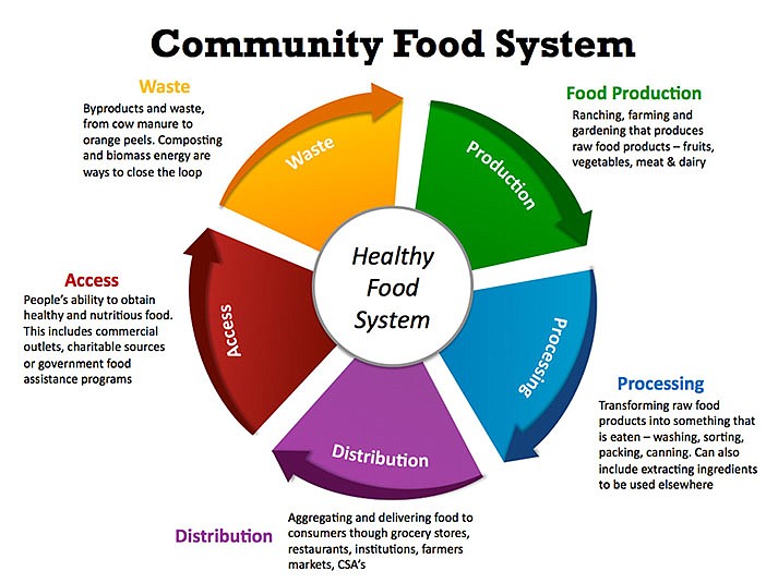 Gardens for Humanity: Creating a Healthy Local Food System | The Verde ...