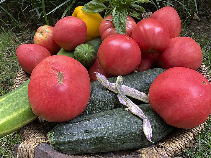 This Aug. 12, 2020, image provided by Jessica Damiano shows a harvest of homegrown vegetables in Glen Head, N.Y. (Jessica Damiano/AP)