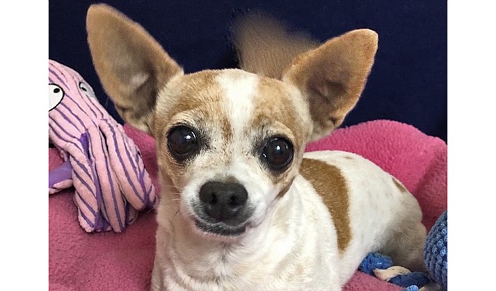 Mimi