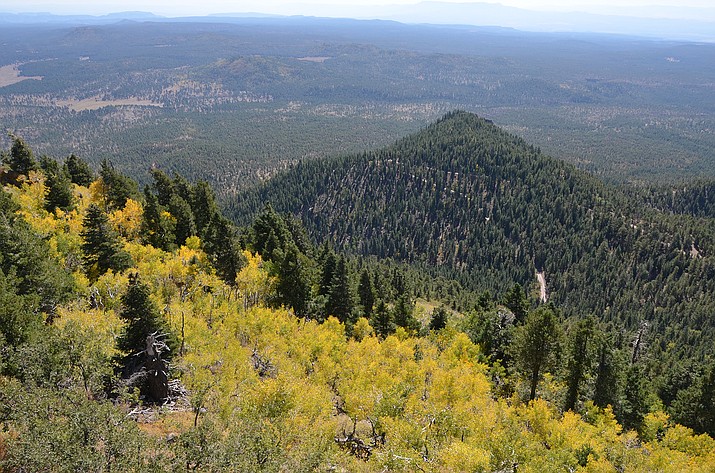 Road Work Begins On Forest Roads 74 And 141 On Kaibab National Forest ...