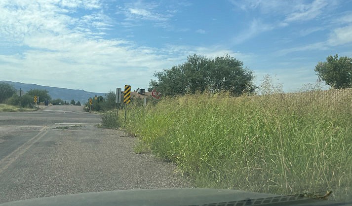 Grass growing on Canyon Drive in Camp Verde on Sept. 9, 2022. (VVN/Vyto Starinskas)