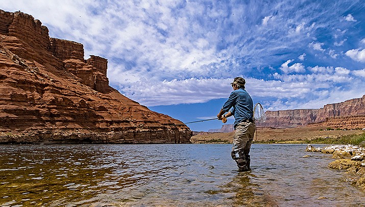 As America's large reservoirs on the Colorado River drop to record-low levels, trout fisheries are suffering from a drop in river water temperatures below dams. From prized rainbow trout to protected native fish, declining reservoirs are threatening the existence of these creatures, and increasing the cost of keeping them alive. (Photo by Ray Redstone, cc-by-sa-4.0, https://bit.ly/3S5TxCa)