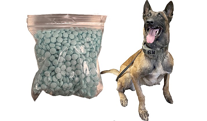 K-9 Duke has been a key to drug-related arrests this year. (CPD)