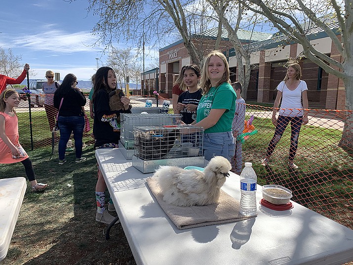 Liberty Traditional School eight-grader Benna Sanders showing off her chicken at an Easter event in Prescott Valley. Benna is a member of the Lonesome Valley Wranglers 4-H Club. She joined in 2019-2020.(Yavapai County 4-H/Courtesy)