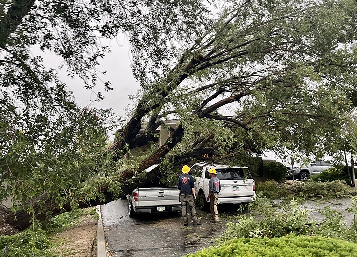 In the parking lot of a dentist office near the corner of Willow Creek Road and Black Drive, a large tree fell over onto two unoccupied vehicles parked there Monday, Oct. 3, 2022, because of a passing storm. (Cindy Barks/Courier)