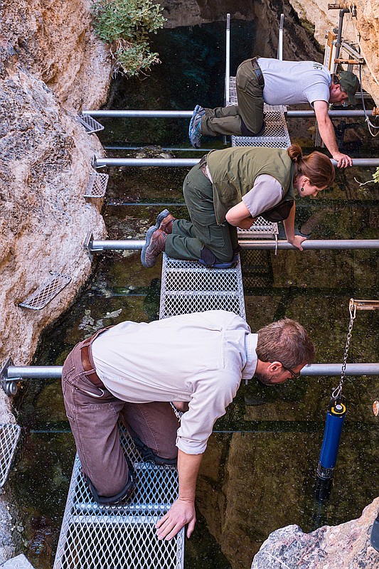 Biologists count pupfish at Devils Hole.  (Photo/NPS)