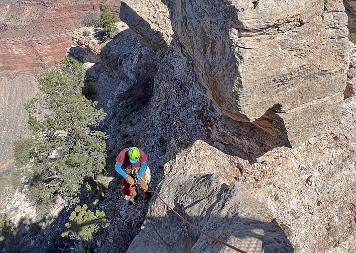 An Arizona Mountaineering Club climber rappels down a cliff face below Mather Point Sept 24. The climber was part of a group collecting trash below the rim.  (Photo/John Furniss/AMC)