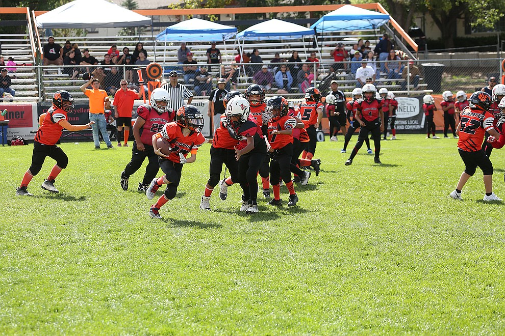 Bengals and Tigers youth football prepares for season, Williams-Grand  Canyon News