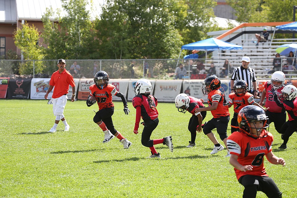 Photos: Williams Bengals defeat Cottonwood Colts 20-14 in double overtime  to win championship, Williams-Grand Canyon News