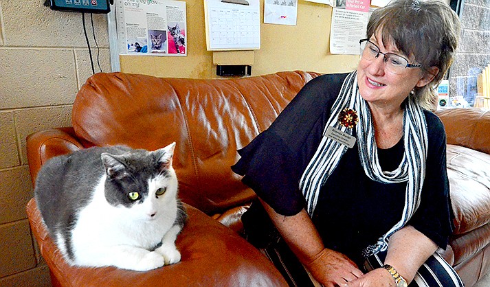 Brenda Redel, the executive director of VVHS, poses with Jacob, the official lobby cat. (VVN/Vyto Starinskas)