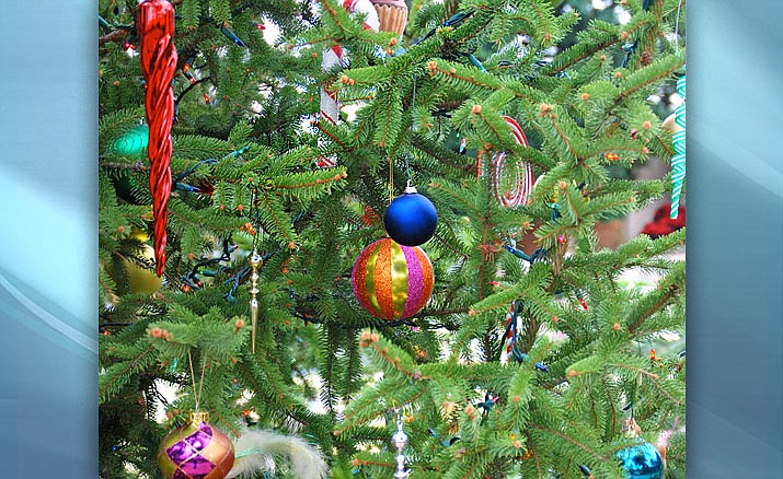 Proper selection and care of your Christmas tree will keep it fresh and looking its best throughout the holidays. (Melinda Myers.com/Courtesy)