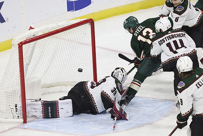 Minnesota Wild center Sam Steel (13) scores a goal against Arizona Coyotes goaltender Connor Ingram during the second period of an NHL hockey game, Sunday, Nov. 27, 2022, in St. Paul, Minn. (Stacy Bengs/AP)