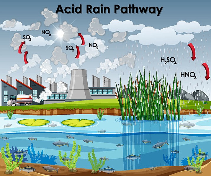The study of acid rain began in 1963 and the causes were identified in 1972. (Courier stock photo)