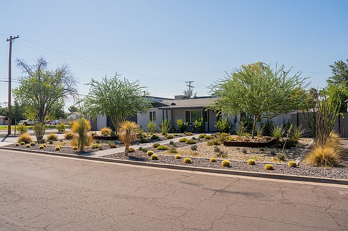 Xeriscaping is the practice of designing landscapes to reduce or eliminate the use of water. Xeriscaping also reduces air-polluting lawn maintenance. This yard in Mesa was converted to desert landscaping under the city’s Grass-to-Xeriscape incentive program. Photo taken Sept. 7, 2022, in Mesa. (Samantha Chow/Cronkite News)