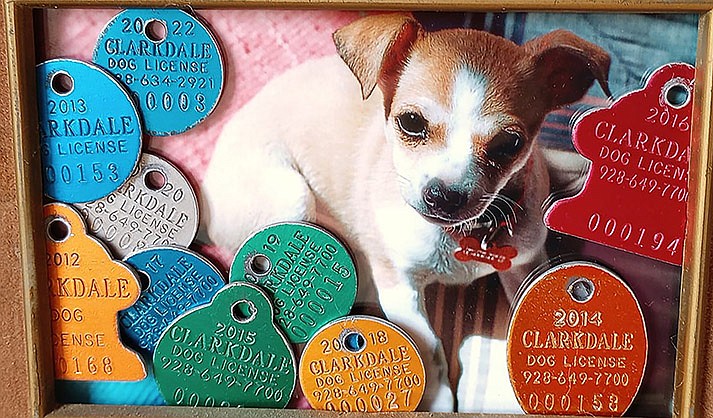 Ellen Jo Roberts of Clarkdale creates art and frames with her retired dog tags and photos of her dogs. (Courtesy/Ellen Jo Roberts)