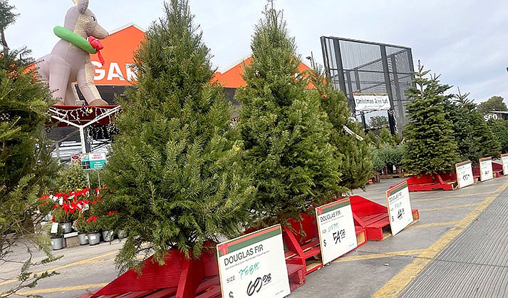 A few Verde Valley businesses are running Christmas tree lots. (VVVN/Vyto Starinskas)