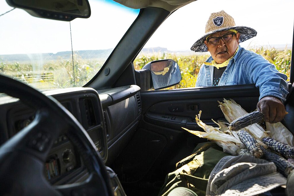 Clark Tenakhongva, 65, places the most choice pieces of traditional Hopi Corn on the passenger seat of his pick-up truck while harvesting corn on his field between First Mesa and Second Mesa on the Hopi Reservation in Arizona, on September 28, 2022. Tenakhongva uses the traditional method of “Dry Farming” to grow the corn where he does not irrigate his field. All the water comes in the form of snowmelt and rain directly on the field. The traditional Hopi practice of Dry Farming is becoming more challenging after more than two decades of drought in the Southwestern United States. Hopi corn seeds have evolved over centuries to be very tolerant of dry growing conditions. Despite the seeds, Tenakhongva has had numerous years in the last two decades with virtually no corn harvest because of the exceptionally dry conditions. (Photo by David Wallace)