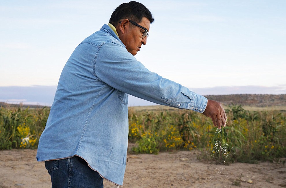 Clark Tenakhongva, 65, sprinkles ground up corn during a sunrise prayer at his corn field, before he begins harvesting for the day, in the valley between First Mesa and Second Mesa on the Hopi Reservation in Arizona on September 28, 2022. Tenakhongva uses the ground up corn referred to in Hopi as “Homa” from a previous years’ harvest as part of the daily prayer. Corn is an integral part of Hopi culture and spirituality. (Photo by David Wallace)