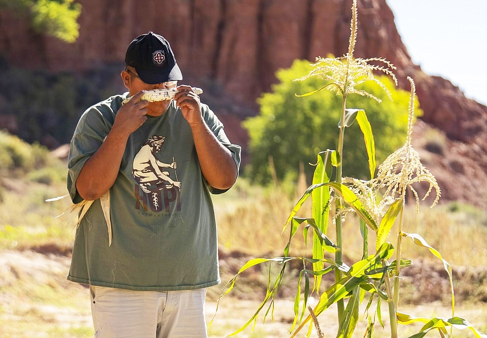 Hopi farmer Brian Monongye, 36, center, smells an ear of Hopi corn on his farm field in the valley of Moenkopi Wash, as fellow Hopi farmer, Brandon Nasafotie, 32, looks on, on the Hopi Reservation on October 19, 2022. This valley is one of the few places on the Hopi Reservation where farm fields can receive irrigation, provided by a series of canal ditches and pipes from Pasture Canyon Reservoir just a few miles away. They can only receive this irrigation for a few months or less depending on the amount of water in the reservoir. Farmers in other areas of Hopi rely on dry farming where they do not irrigate, relying on snowmelt and rain directly on their crops. Even farmers like Monongye who uses the reservoir to irrigate says drought has been impacting his ability to get good harvests of beans and corn, an integral part of Hopi culture and religion. (Photo by David Wallace)