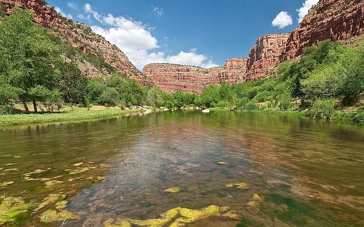 Gary Beverly, president of the Citizens Water Advocacy Group, will provide an update on the importance of Arizona’s only surviving river and its questionable future in a Zoom Meeting Apr. 10. (Photo/Friends Of The Verde River)