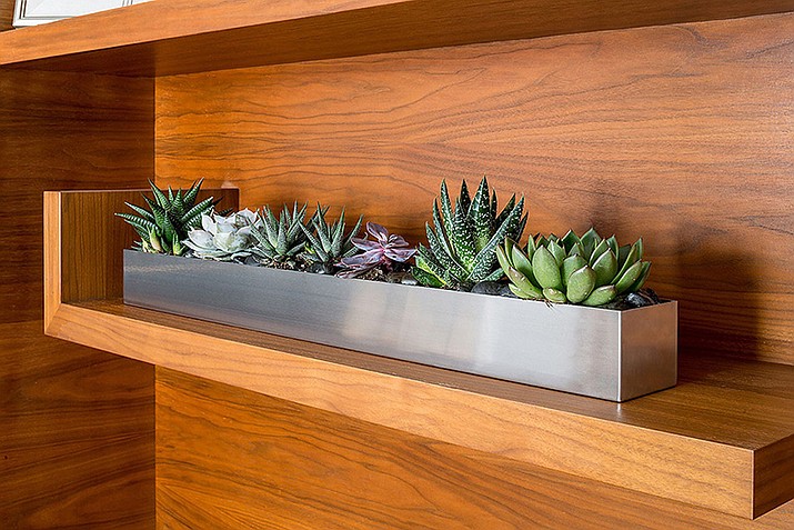 Succulents are low-maintenance houseplants that add interest and beauty to indoor décor. (Gardener’s Supply Company/gardener.com/Courtesy)