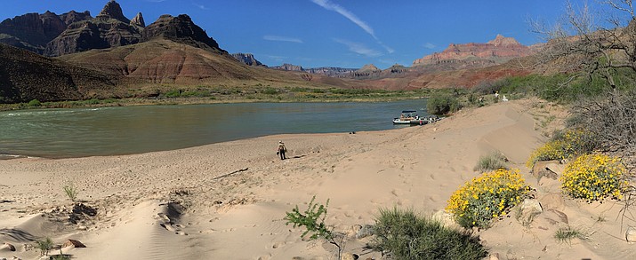 A research and monitoring area at a sandbar near an archaeological site along the Colorado River in Grand Canyon. (Photo/Joel Sankey, Grand Canyon Monitoring and Research Center, USGS.)