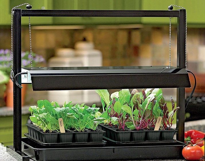 Tabletop light stands work well on kitchen counters and provide plenty of light for greens to grow. (Gardener’s Supply Company/gardeners.com /Courtesy)