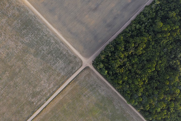 A section of Amazon rainforest stands next to soy fields in Belterra, Para state, Brazil, on Nov. 30, 2019. Brazil's President-elect Luiz Inacio Lula da Silva named Marina Silva as environment minister for his incoming government, indicating he will prioritize cracking down on illegal deforestation in the Amazon. (Leo Correa/AP, File)
