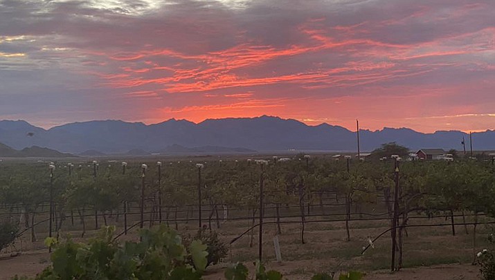 Cella Winery of Valle Vista will celebrate the second anniversary of its reopening with an event featuring live music, arts and crafts and food trucks from 11 a.m. to 6 p.m. daily on Saturday and Sunday, Feb. 11-12. (Cella Winery Facebook page photo)