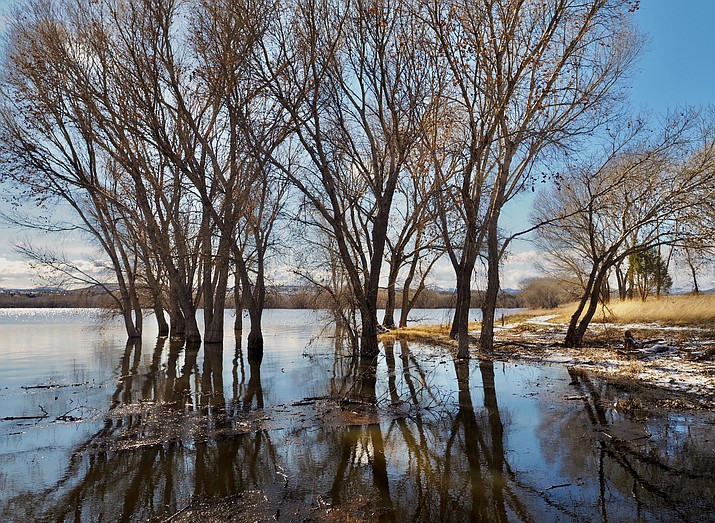 Recent storms have significantly raised the water level of Willow Lake in Prescott, Arizona. (Karen Shaw/Courtesy)