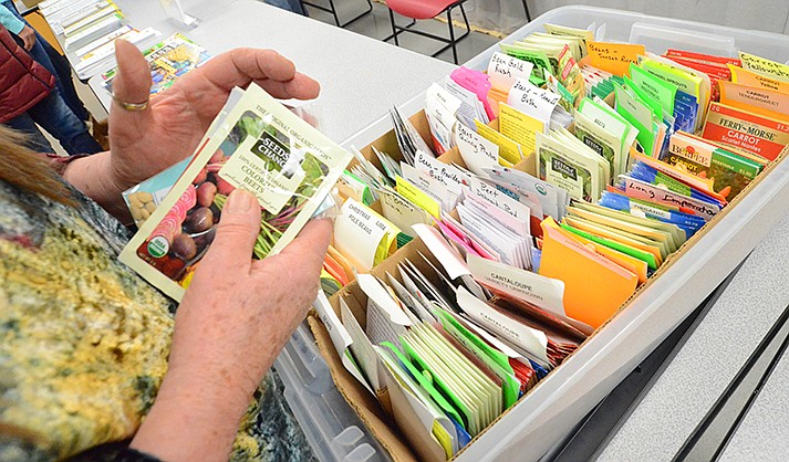 The free seed events are held every fourth Saturday of the month 11 a.m. to 1 p.m. at the Cottonwood Library. (VVN/Vyto Starinskas)